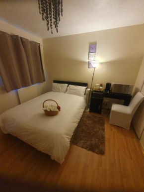 Double size and Single room in Barking